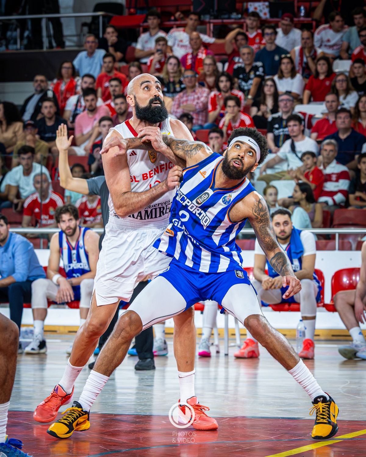 Jogo profissional no Pavilhão Fidelidade